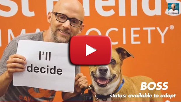 Moby a favore delle adozioni di cani e gatti con il video di Almost Home