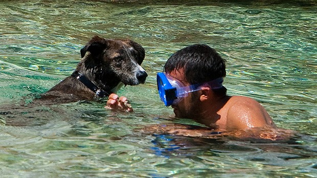 In vacanza con il cane a tutto sport: dal dog trekking al nuoto ludico