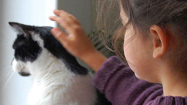 Una bimba accarezza un gatto