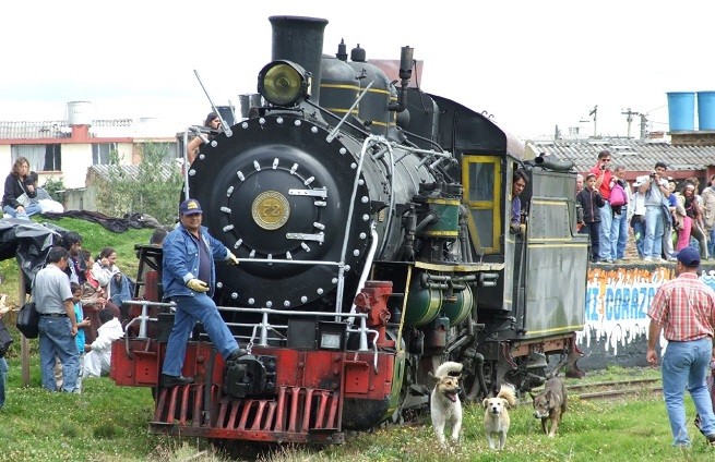 Cane treno