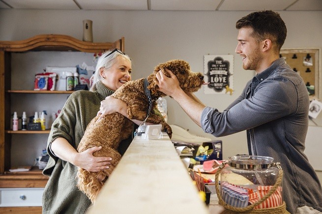 Cane con proprietario