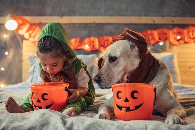 Come festeggiare Halloween con gli animali