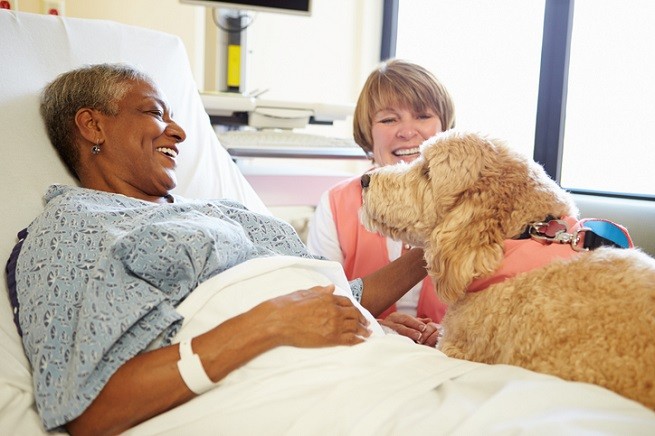 Umbria, animali in ospedale: Pet Therapy