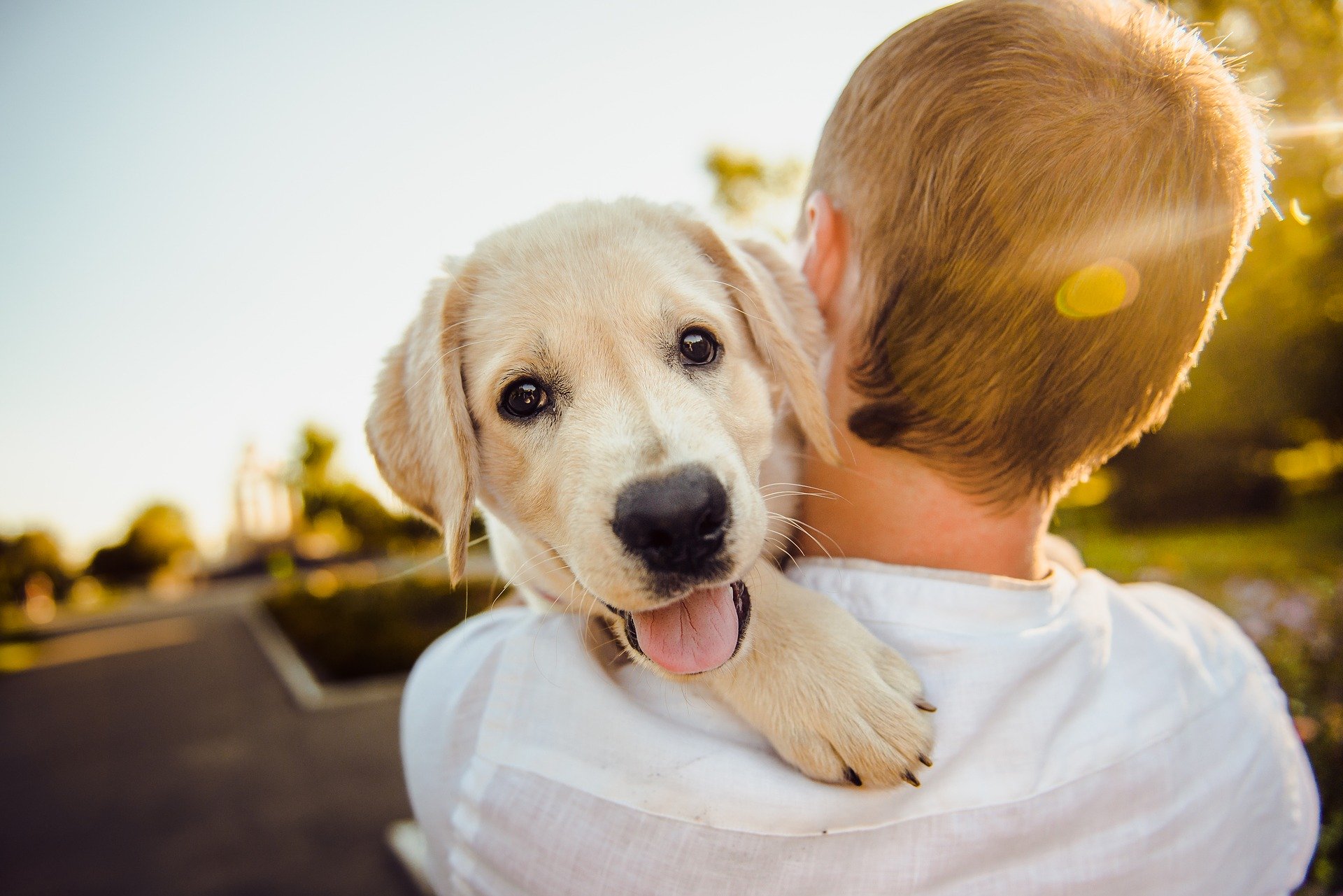 Cane e bambino