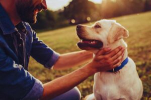 come il cane riconosce il padrone