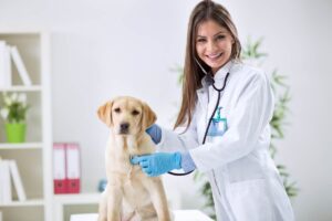 Detrazioni spese veterinarie